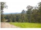 King Creek NSW 2446