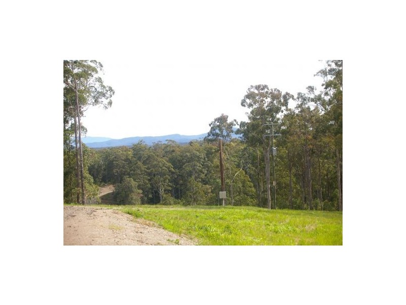 King Creek NSW 2446
