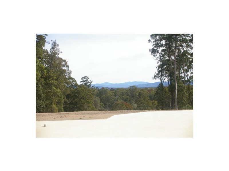 King Creek NSW 2446