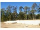 King Creek NSW 2446