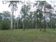 Kundabung NSW 2441
