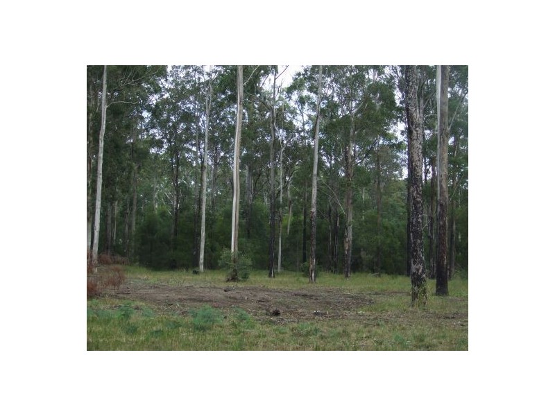 Kundabung NSW 2441