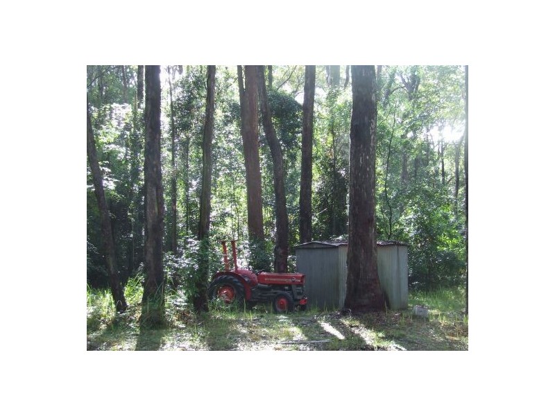 Johns River NSW 2443