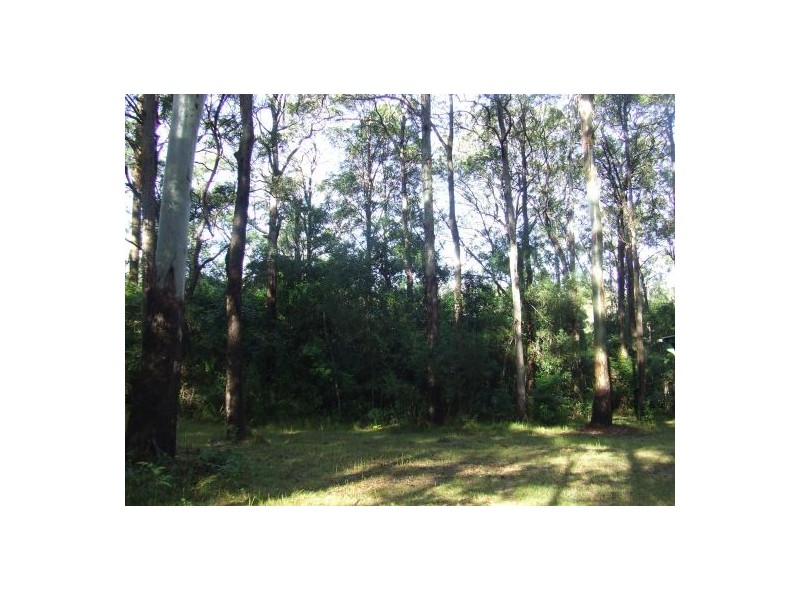Johns River NSW 2443