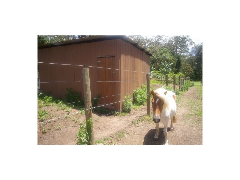 Sancrox NSW 2446