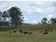 Bellbrook NSW 2440