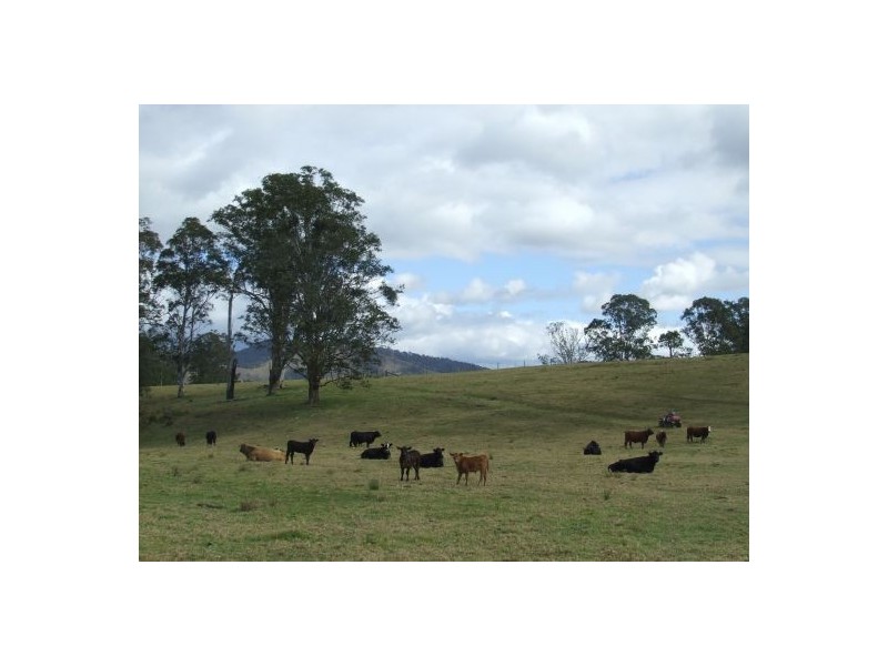 Bellbrook NSW 2440