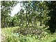 King Creek NSW 2446