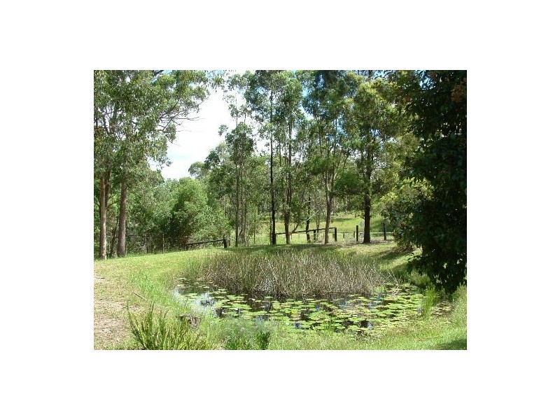 King Creek NSW 2446