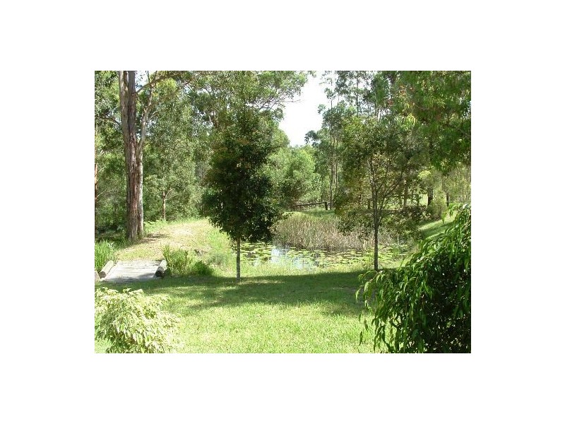 King Creek NSW 2446