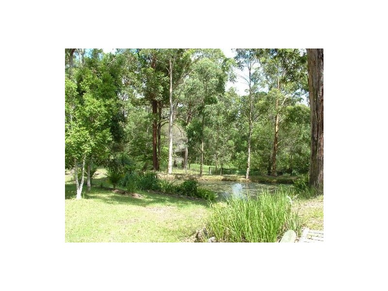 King Creek NSW 2446