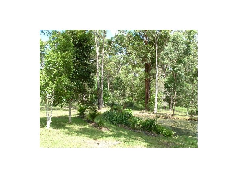 King Creek NSW 2446