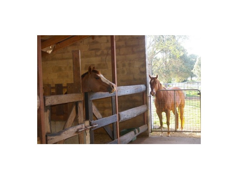 Rollands Plains NSW 2441