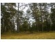 Kundabung NSW 2441