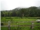Toms Creek NSW 2446