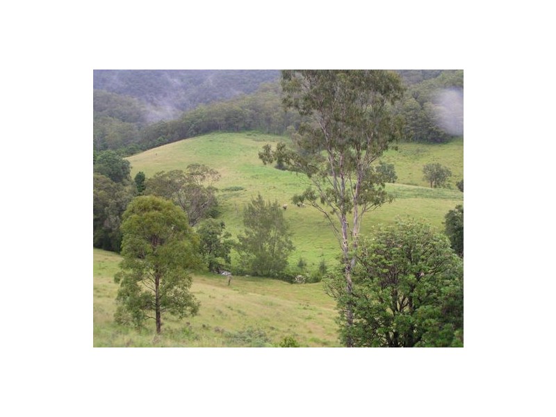 Toms Creek NSW 2446