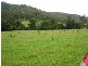 Toms Creek NSW 2446