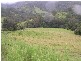 Toms Creek NSW 2446