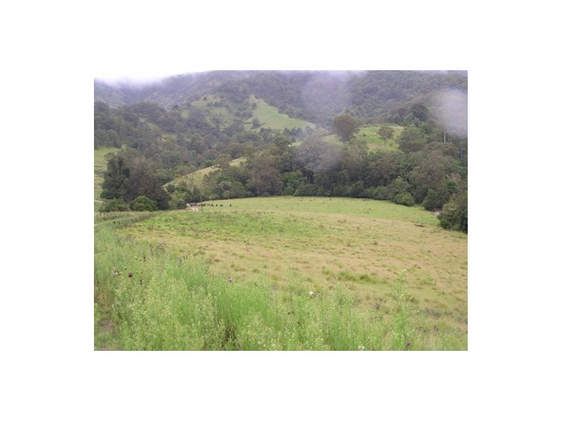 Toms Creek NSW 2446
