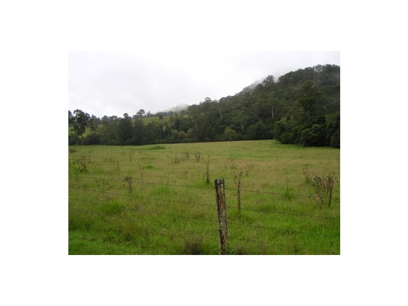 Toms Creek NSW 2446