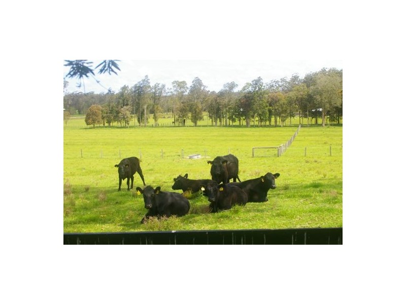 Telegraph Point NSW 2441