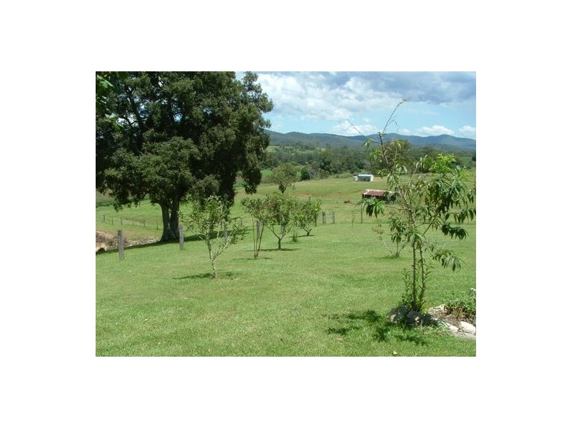 Rollands Plains NSW 2441