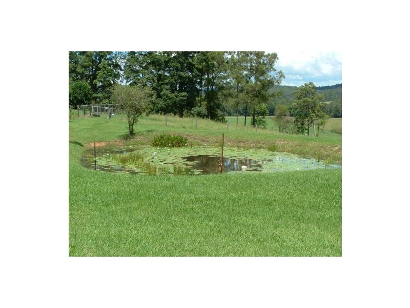 Rollands Plains NSW 2441