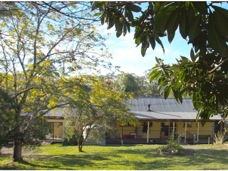 Rollands Plains NSW 2441