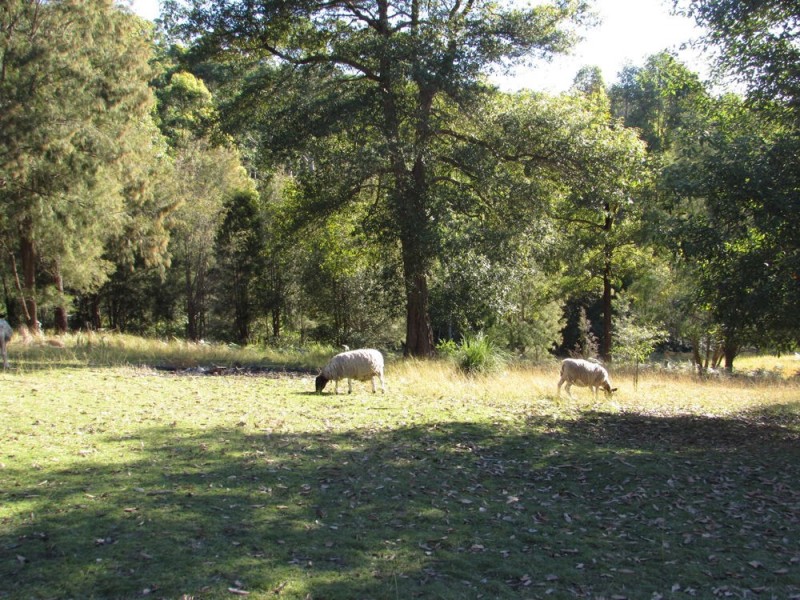 Rollands Plains NSW 2441