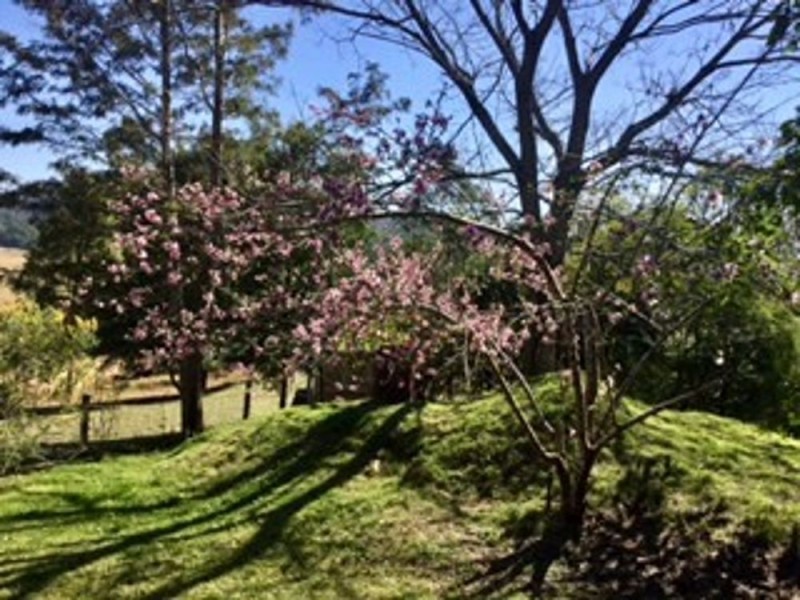 Rollands Plains NSW 2441