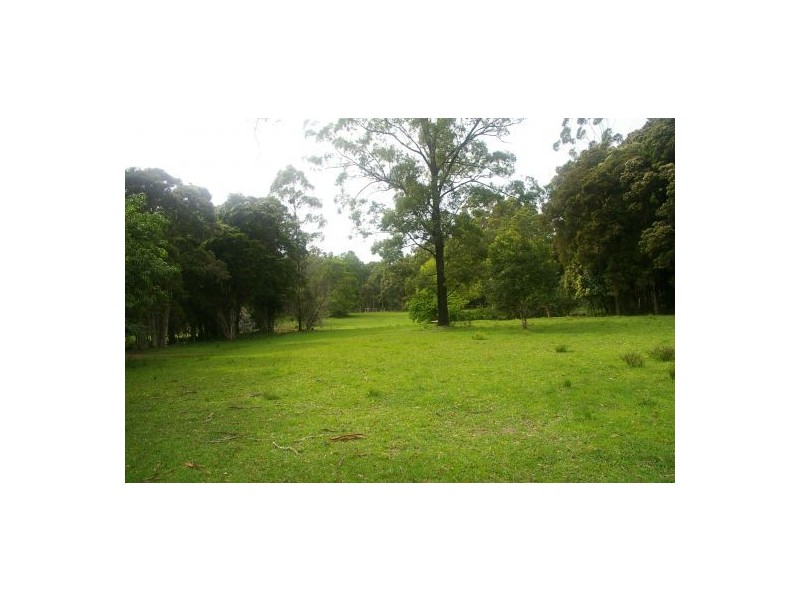 King Creek NSW 2446