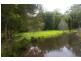 King Creek NSW 2446