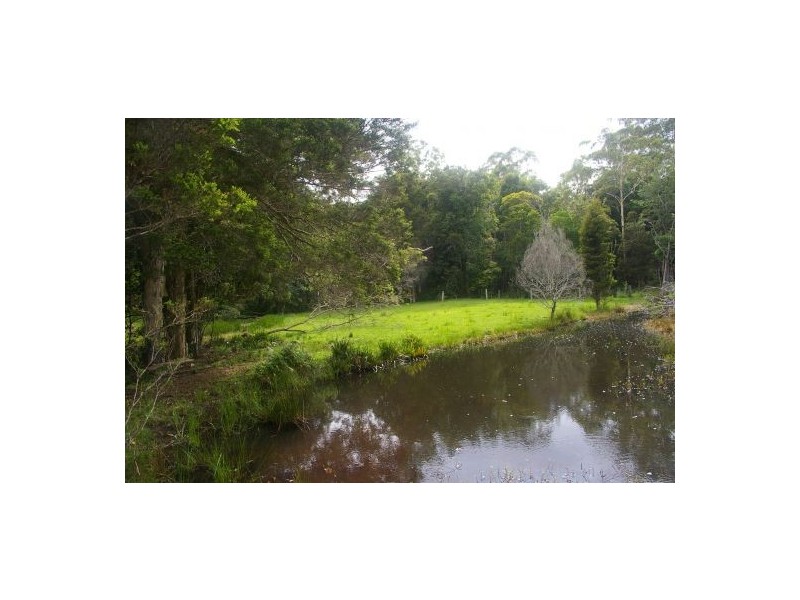 King Creek NSW 2446