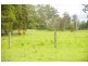 King Creek NSW 2446