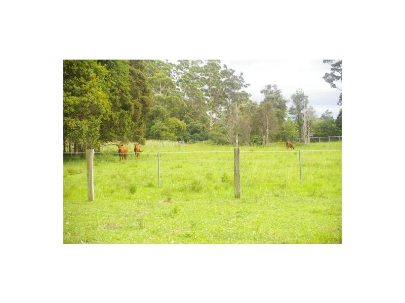 King Creek NSW 2446