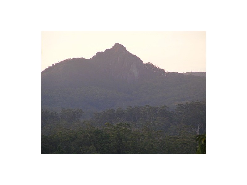 Hannam Vale NSW 2443