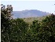Hannam Vale NSW 2443
