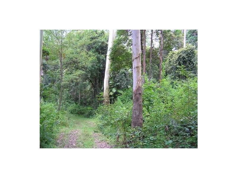 Hannam Vale NSW 2443