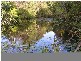 Hannam Vale NSW 2443