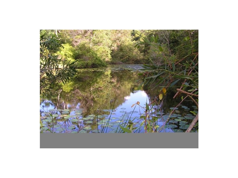 Hannam Vale NSW 2443