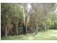 Rollands Plains NSW 2441