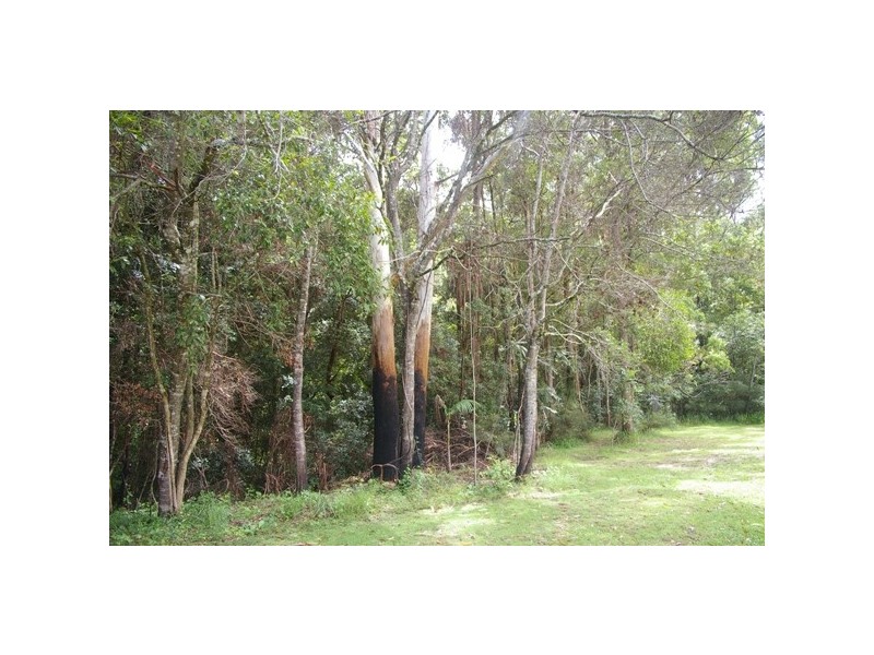 Rollands Plains NSW 2441