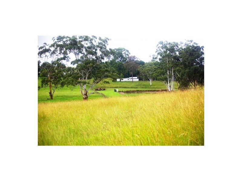 Telegraph Point NSW 2441