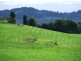Comboyne NSW 2429