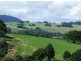Comboyne NSW 2429