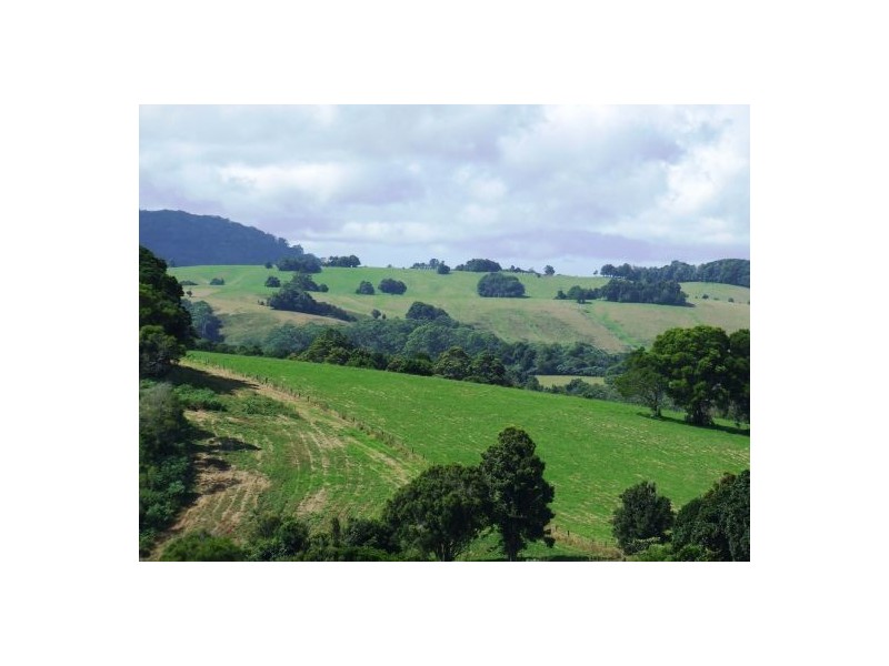 Comboyne NSW 2429
