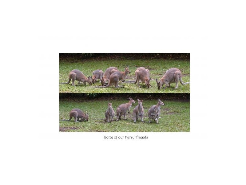 Upper Lansdowne NSW 2430