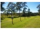 Sancrox NSW 2446