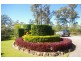 Sancrox NSW 2446
