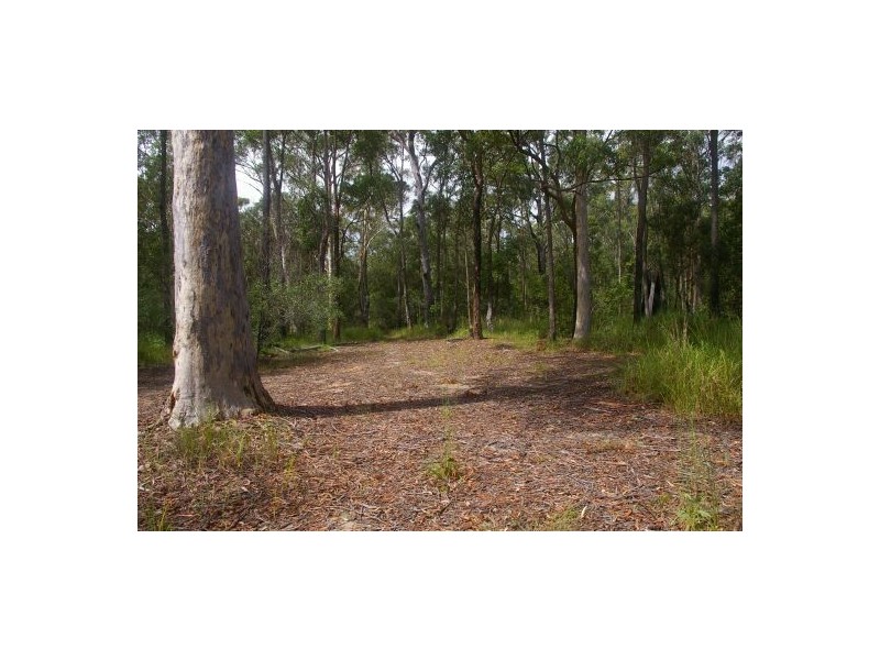 Verges Creek NSW 2440